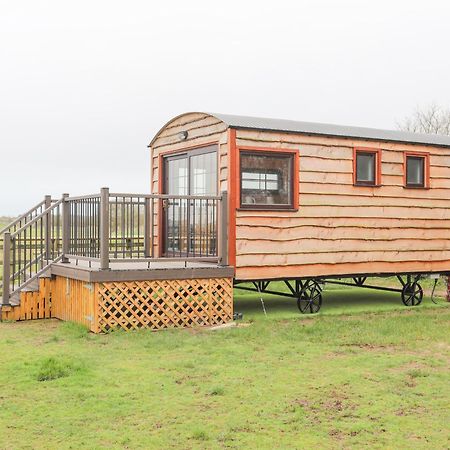 Tal Sarn Shepherd Hut Llanfairpwllgwyngyll Екстериор снимка